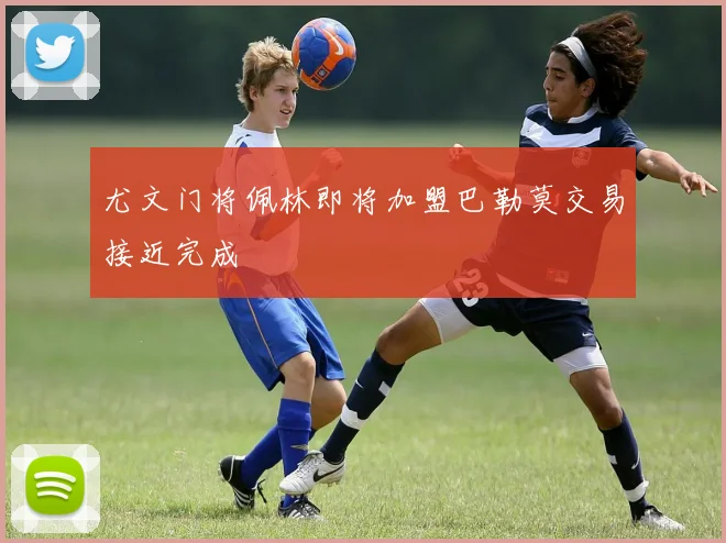 尤文门将佩林即将加盟巴勒莫交易接近完成