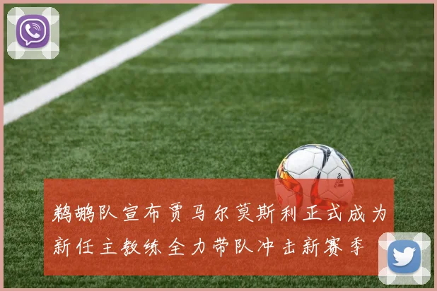 鹈鹕队宣布贾马尔莫斯利正式成为新任主教练全力带队冲击新赛季